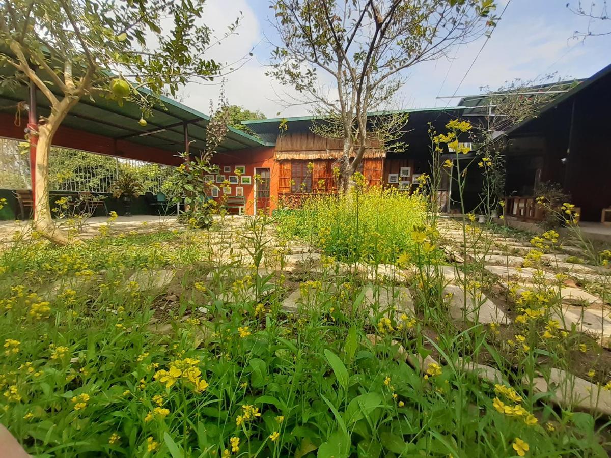 Homestay Lan Rung Nghia Lo Exterior foto