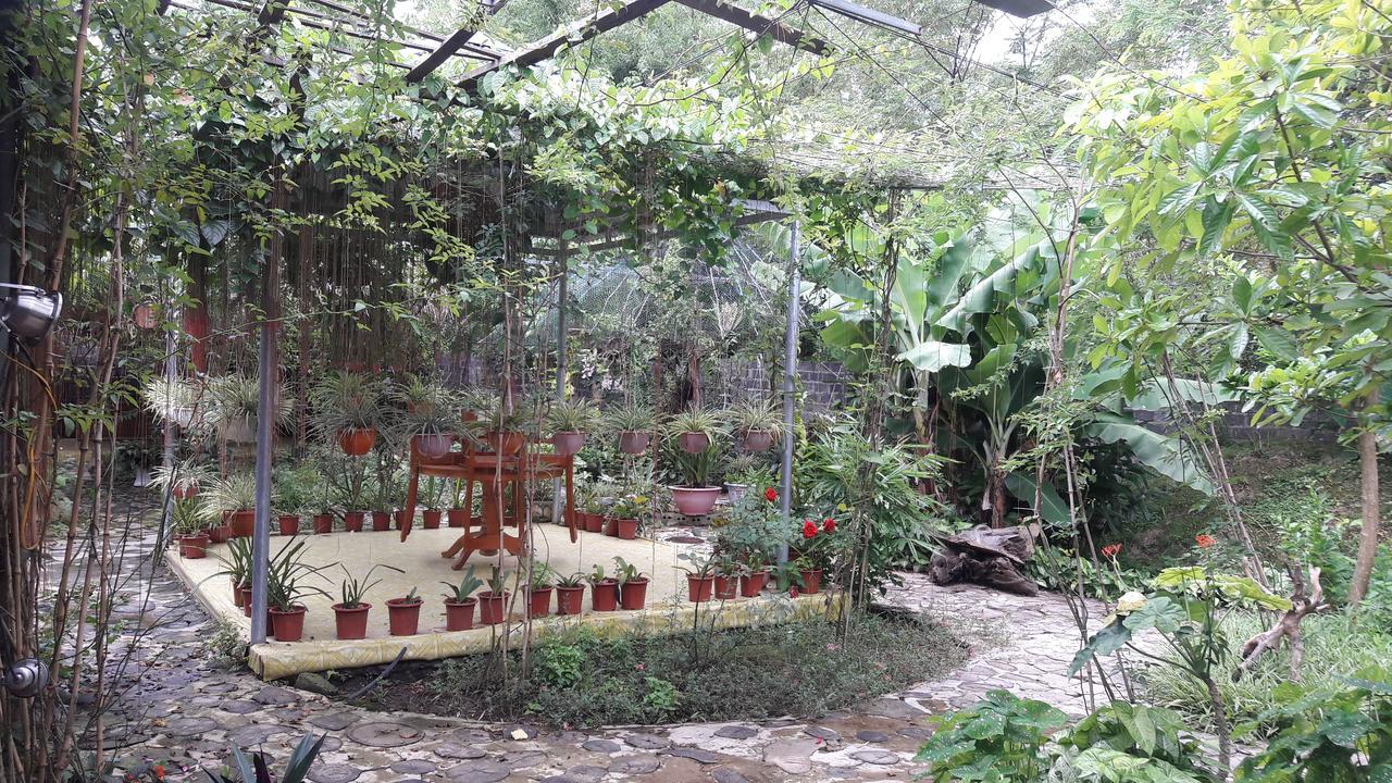 Homestay Lan Rung Nghia Lo Exterior foto